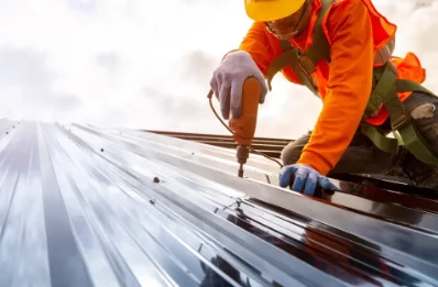 Travaux de zinguerie à Saint-Étienne-de-Saint-Geoirs